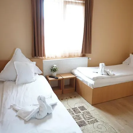 招待所 Pensiunea Elias