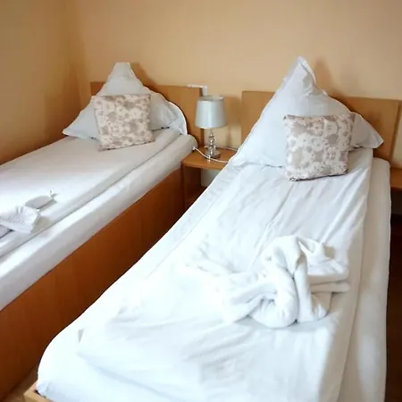 招待所 Pensiunea Elias 克卢日-纳波卡