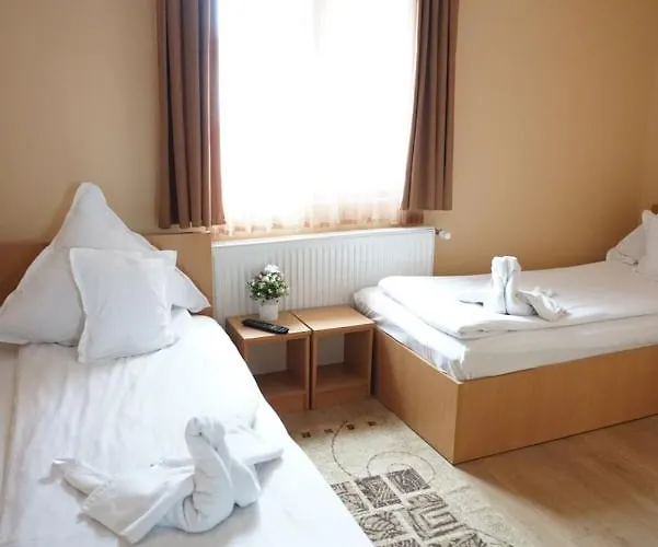 Pensión Pensiunea Elias