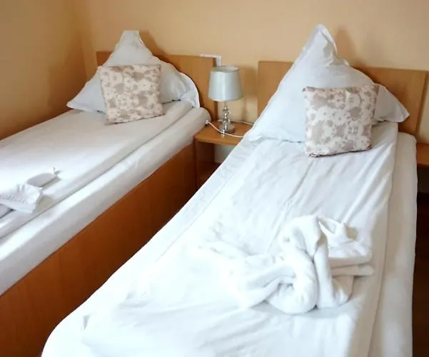 Gæstehus Pensiunea Elias Cluj-Napoca