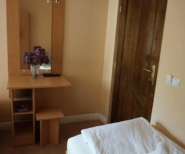 Pensiunea Elias Pensjonat Kluż-Napoka