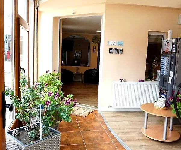 Pensiunea Elias Affittacamere